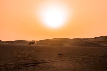Sundowner Dune Safari With Dinner