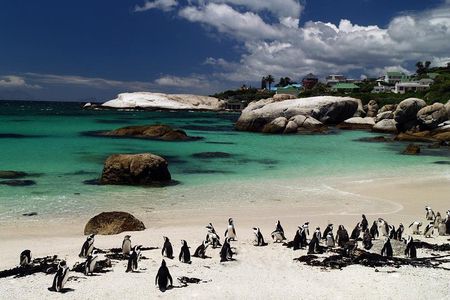 Cape Town Day Tours