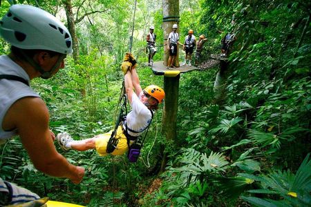 Adventure Combo Tour: Zipline adventure and Tortuguero Canals