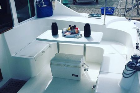 Elegance Catamaran turtles swim and lunch cruise