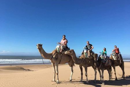 Camel Ride on the Beach of Essaouria