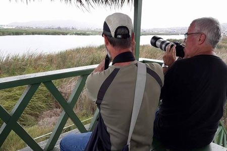 Pantanos de Villa Wildlife Refuge Tour in Lima
