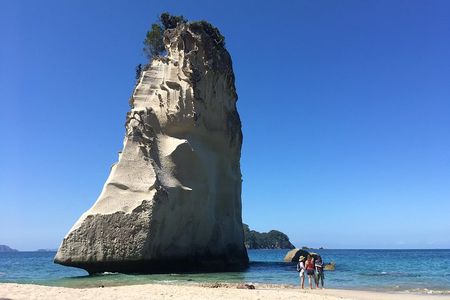 Cathedral Cove Day Trip from Auckland