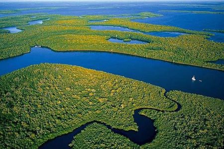 Private 4 Hour Everglades Tour Experience in the Wilderness