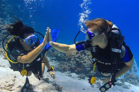 2-Dive adventure-Safe & Top-rated boat for Certified Divers