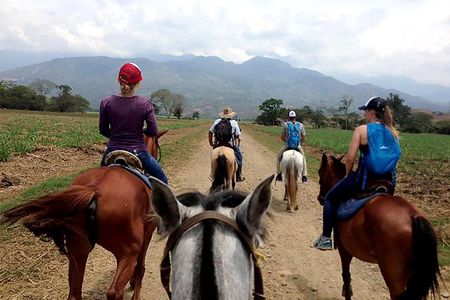 Cali: Horseback riding through beautiful landscapes and mountains