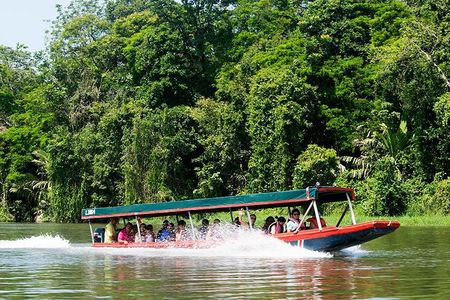 Tortuguero National Park Eco Adventure Canoe Tour from San Jose