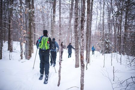 Skiing (Hok Ski) Excursion in Jacques-Cartier National Park
