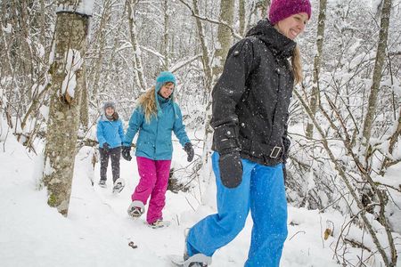 Snowshoeing Tour in Jacques-Cartier National Park