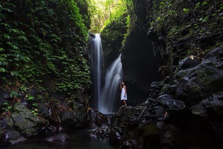 Gitgit and Alingaling Waterfalls Private Group Tour - Full Day