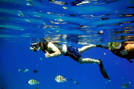 Shared 2 hours Sosúa Bay Snorkeling with Professional Guide