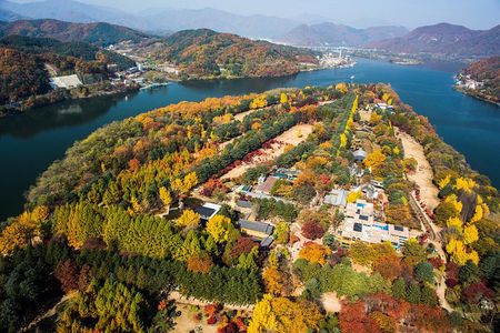 Nami Island & Petite France
