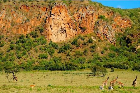 2 Full Days Mount Longonot Hell's Gate Best Hiking Safari