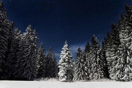 Moonlight Snowshoe Hike