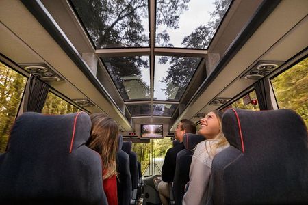 Milford Sound Coach & Cruise ex Te Anau Stunning Views with Lunch