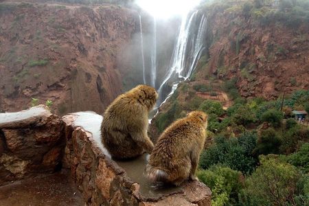 Marrakech Day Tour to Ouzoud Waterfalls