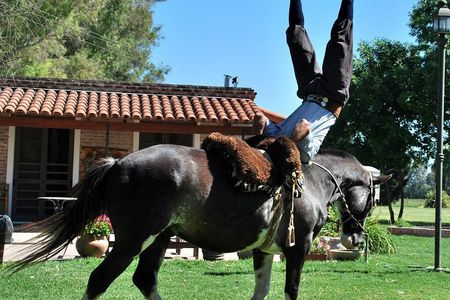Estancia Gaucho Day at Buenos Aires