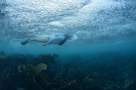 Snorkel, ATV, Zipline and Cenote Adventure from Cancun