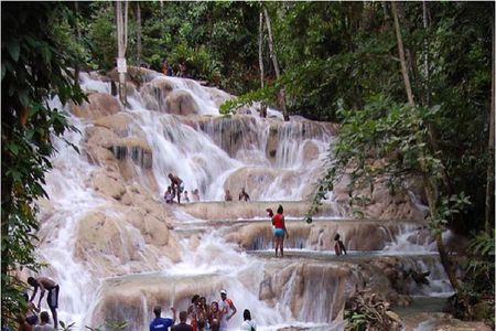 Montego Bay to Dunn's River Falls Half-Day Trip