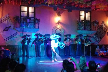 Garibaldi Night Tour