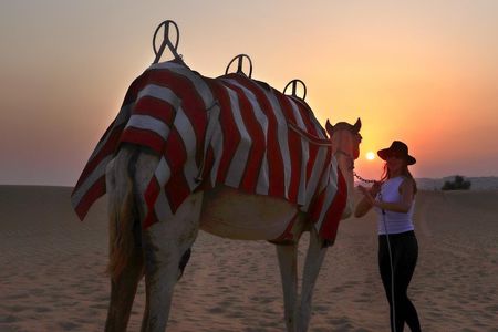 Dubai Sunset Camel Trekking With BBQ Dinner at VIP Camp