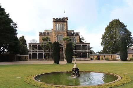 Dunedin City, Wildlife and Larnach Castle