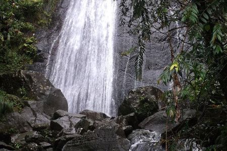 Half-Day El Yunque National Forest Tour from San Juan
