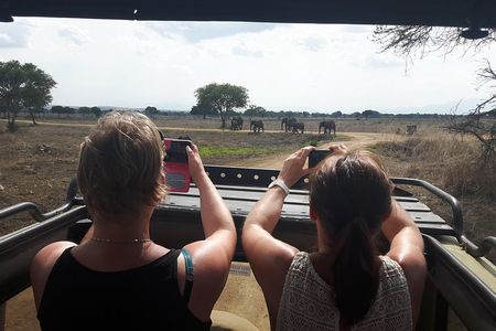 Day trip to Mikumi National Park from Dar es salaam 
