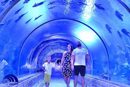 Official Account: Hurghada Grand Aquarium Entrance Tickets 