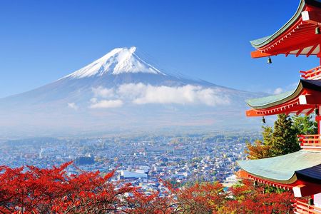Tokyo to Hakone | Private and Personalized Day Trip with a Local