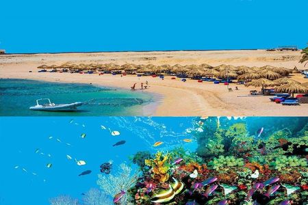 Dolphin House Snorkeling Day Cruise with Lunch from Hurghada