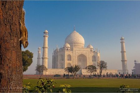 Private Day Tour to Taj Mahal and Agra Fort from Delhi by Car