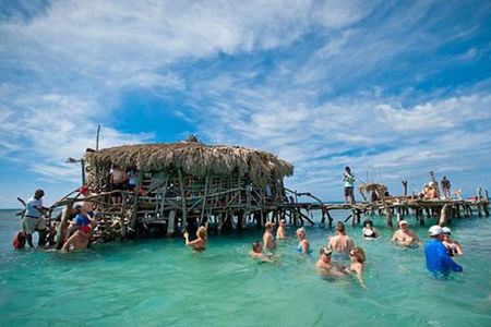 YS Falls, Pelican Bar, Horseback Ride/Swim Combo Tour with Lunch