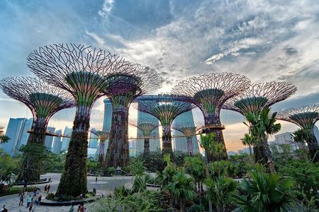 Private Singapore Night Tour with Gardens by the Bay&River Cruise