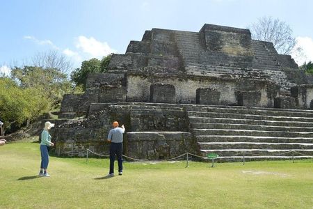 Maya Pyramids and Monkeys 