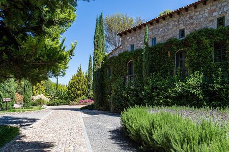 Vineyards, Wine Tasting and Pairing in San Miguel