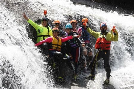 Half-Day El Yunque Rainforest Wilderness Adventure