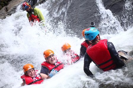 Half-Day El Yunque Rainforest Wilderness Adventure