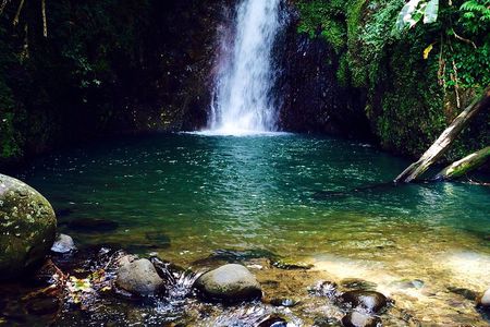 Grand Etang Rainforest Hike – Small-Group Grenada Nature Explorer