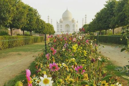 Private same day trip to Taj Mahal and Agra From Jaipur