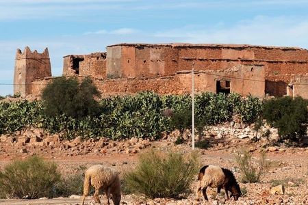 Amazigh Fortified Granaries
