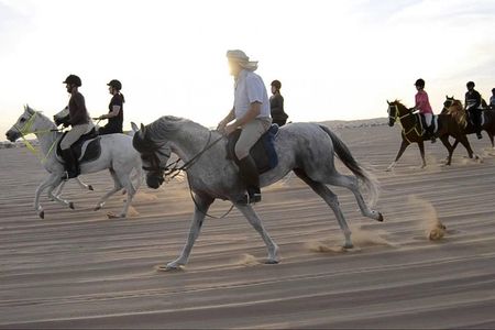 Horseback Riding in Dubai Desert with Transfers