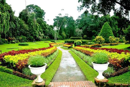 4 Day Tour to Kandy Nuwara Eliya Ella & Udawalawe Safari From Negombo