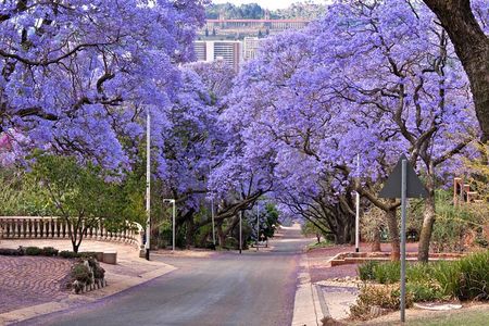 Pretoria Sightseeing Day Trip from Johannesburg