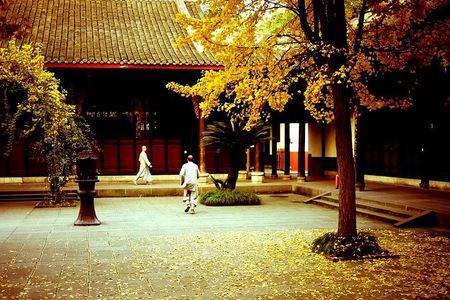 Chengdu Food Tour with Wenshu Yuan Monastery Visit