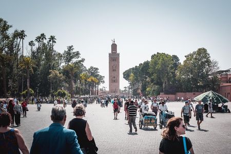 Private Tour: Marrakech walking tour and Camel riding