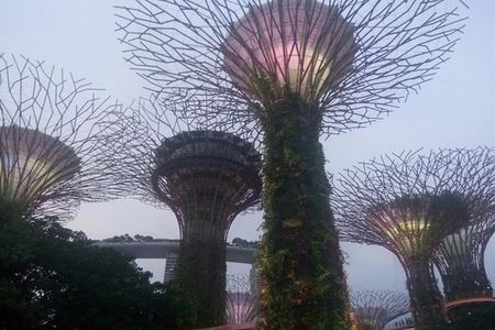 Private Full Day Singapore Highlights Tour