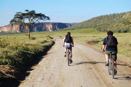 Guided Day Tour Safari of Parks Lake Naivasha and Hells Gate