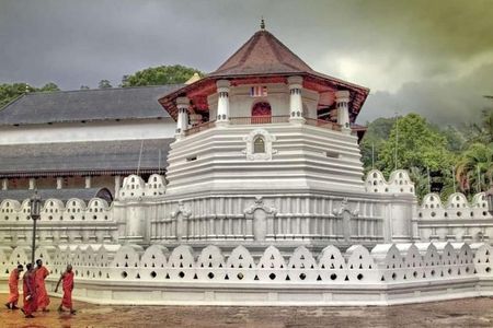 07 Days Highlights of Srilanka