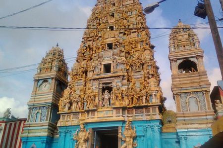 Privet Full-day Sightseeing Tour of Colombo